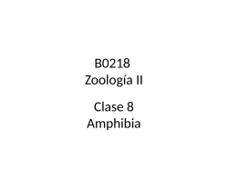Zoologia II clase 8 2014.pdf - Escuela de Biología