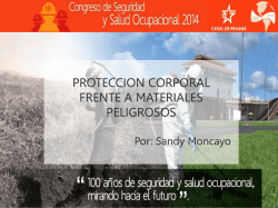 Protección Corporal Frente a Materiales Peligrosos / Sandy Moncayo