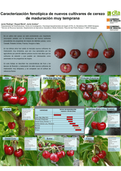 Caracterización fenotípica de nuevos cultivares de cerezo de