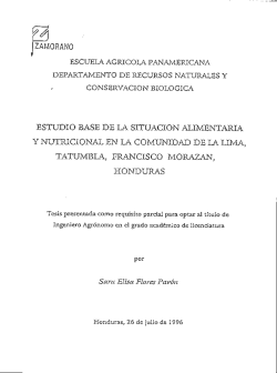 diptico nº 24 - C.B. La Palma `95