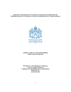 CALICHERAA SUSPENSION 24032015.pdf