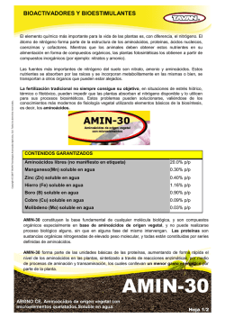 ADMINISTRACIÓN LOCAL - Ajuntament de Vila-real