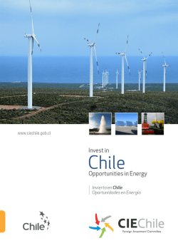 oportunidades en energia - Foreign Investment Committee