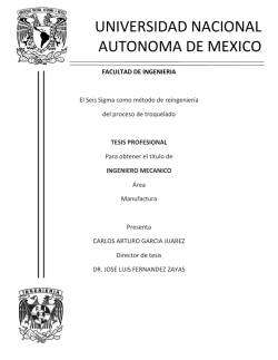 TESIS COMPLETA.pdf - UNAM