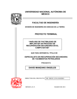 facultad de ingeniería de la universidad nacional autónoma - UNAM
