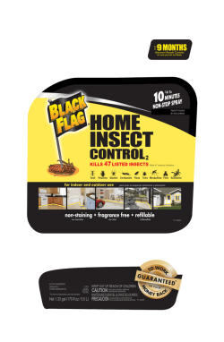HOME INSECT