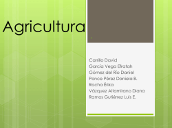 Principales productores agrícolas - DePa