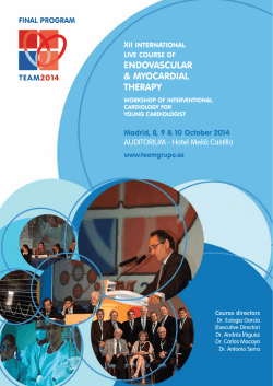 Programa Inglés (PDF) - TEAM 2014