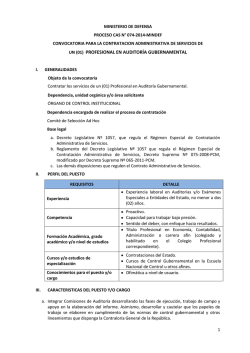 PROFESIONAL EN AUDITORÍA GUBERNAMENTAL - Ministerio de