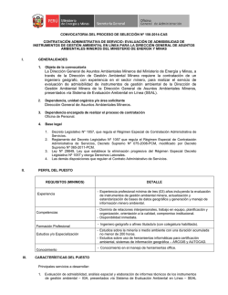 convocatoria m nº 156-2014-cas-dgaam - Ministerio de Energía y