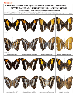NYMPHALIDAE: LIMENITIDINAE1 y CHARAXINAE2 - Field Guides