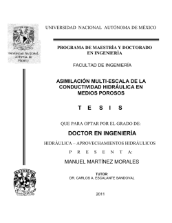 T    E     S    I     S DOCTOR EN INGENIERÍA - UNAM