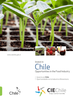 invierta en chile - Foreign Investment Committee