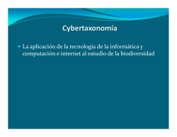 Cybertaxonomía
