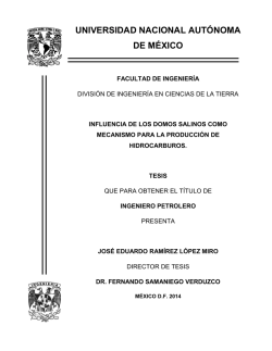 Influencia de l cción de Hidrocarburos.pdf - UNAM