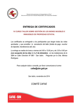 Copia de Pautas certificados - SBN