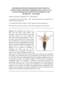 Determinación de Especies de Insectos de la Familia Thysanoptera