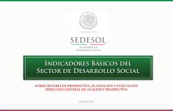Indicadores Básicos del Sector de Desarrollo Social - Sedesol