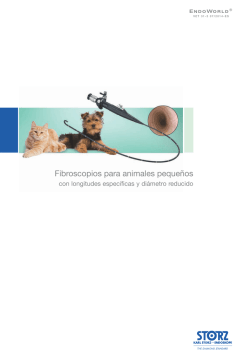 Fibroscopios para animales pequeños con longitudes - Karl Storz