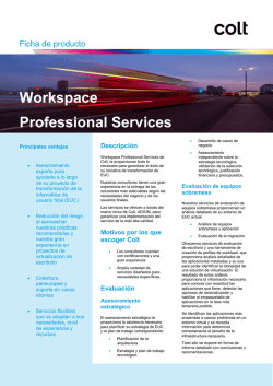 Workspace Professional Services - Colt IT Services