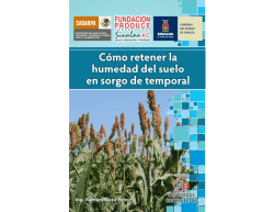 RP Sorgo entarquinamiento 2012.pdf - Fundación Produce Sinaloa