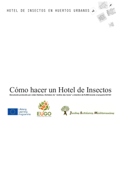 Cómo hacer un Hotel de Insectos - e-Learning