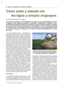 Cómo están y adónde van los lagos y arroyos - Uruguay Ciencia