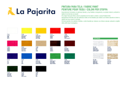pintura para tela / fabric paint peinture pour tissu / colori - La Pajarita
