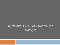 NUTRICIÓN Y ALIMENTACIÓN DE RAPACES