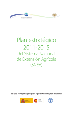 Plan estratégico 2011-2015
