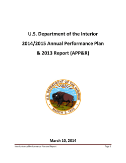 DOI FY2014-2015 Annual Performance Plan and FY2013 Report