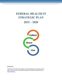 Federal Health IT Strategic Plan, 2015-2020 (PDF)