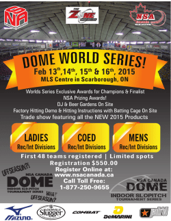 2015 Dome World Series Poster