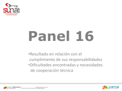 SUNAI Presentación Panel 16