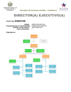 DIRECTOR(A) EJECUTIVO(A) - contrataciones empresariales