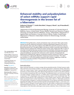 Enhanced stability and polyadenylation of select mRNAs