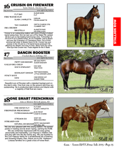 2015 BHSS Horse Catalog_SectionB