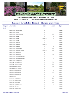 Nursery Availbility Report - Shrubs and Trees