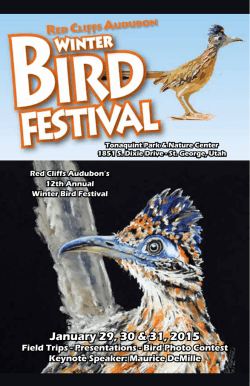 2015 Festival Flyer Brochure