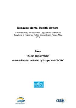 Because mental health matters submission (PDF 74 KB)