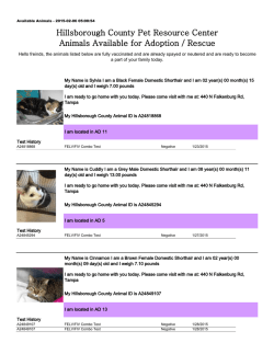 Available Animals - Hillsborough County Government