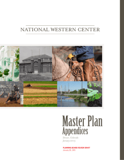 NWC Master Plan Appendices - City and County of Denver