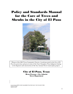 Tree Care Manual - City of El Paso