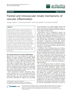 Parietal and intravascular innate mechanisms of vascular inflammation