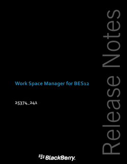 Release Notes - Work Space Manager for BES12