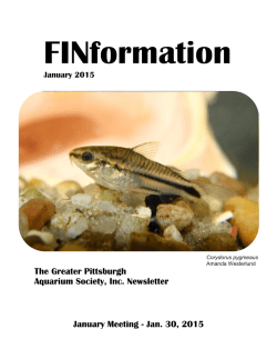 FINformation_January2015 - Tropical Fish Club of Erie County