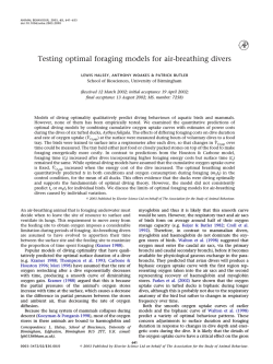 Testing optimal foraging models for air-breathing