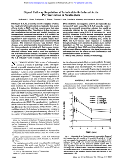 Signal Pathway Regulation of Interleukin-8-Induced Actin