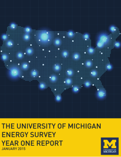 the university of michigan energy survey year one report