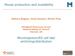Mouse production - Martin Fray - MRC Harwell